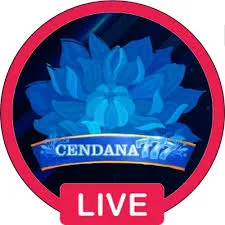 cendana777